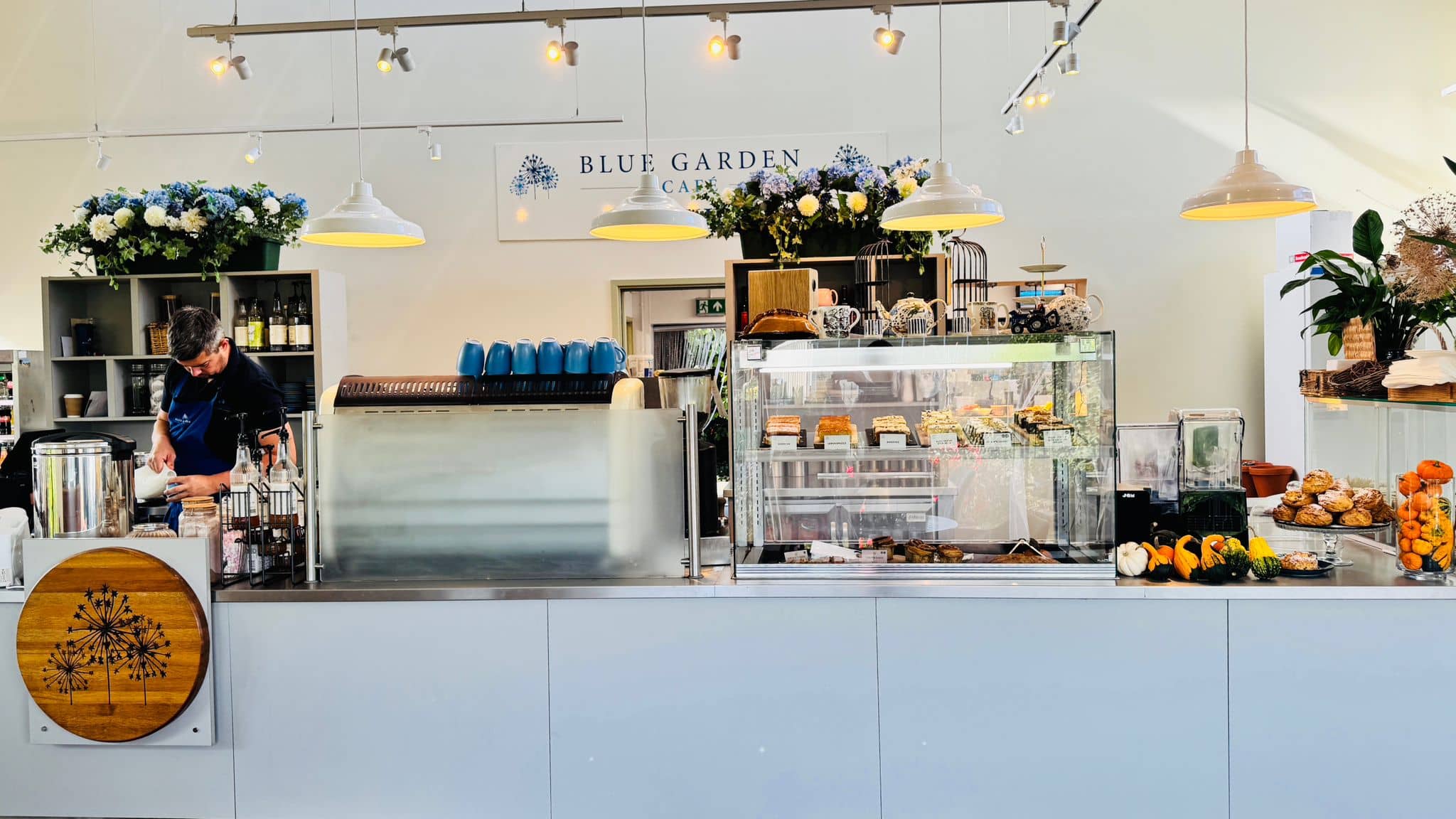 The counter and cake display at Blue Garden Café with a barista preparing drinks.