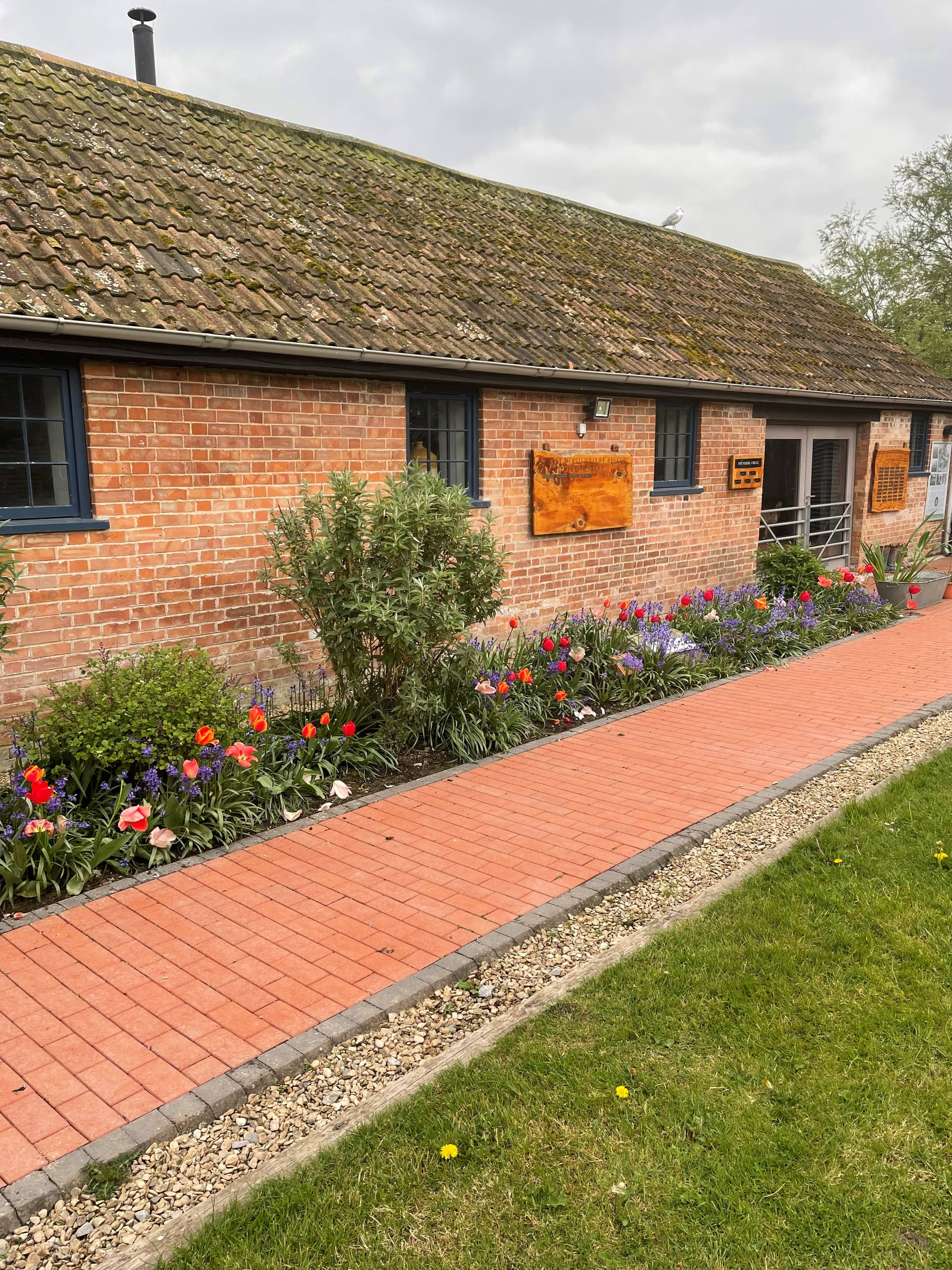Exterior of a brick barn conversion with red tulips and blue flowers in a border.