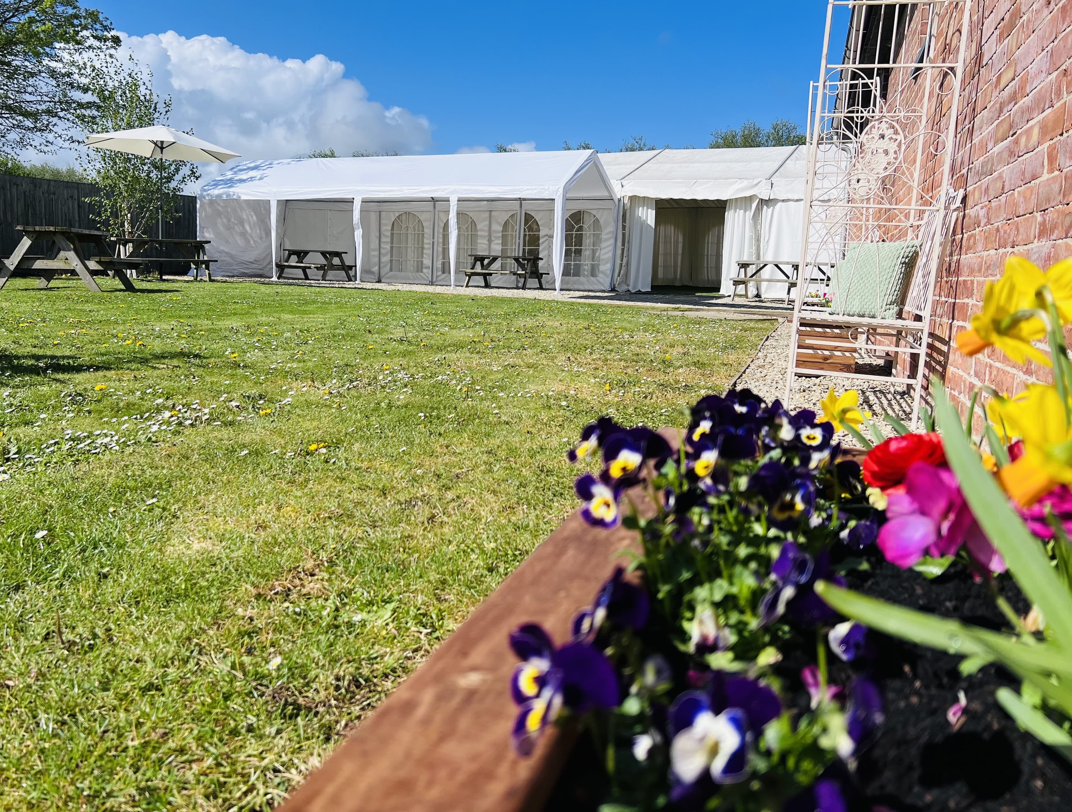 Sunny garden at Bluebell Barn with a white marquee and picnic benches