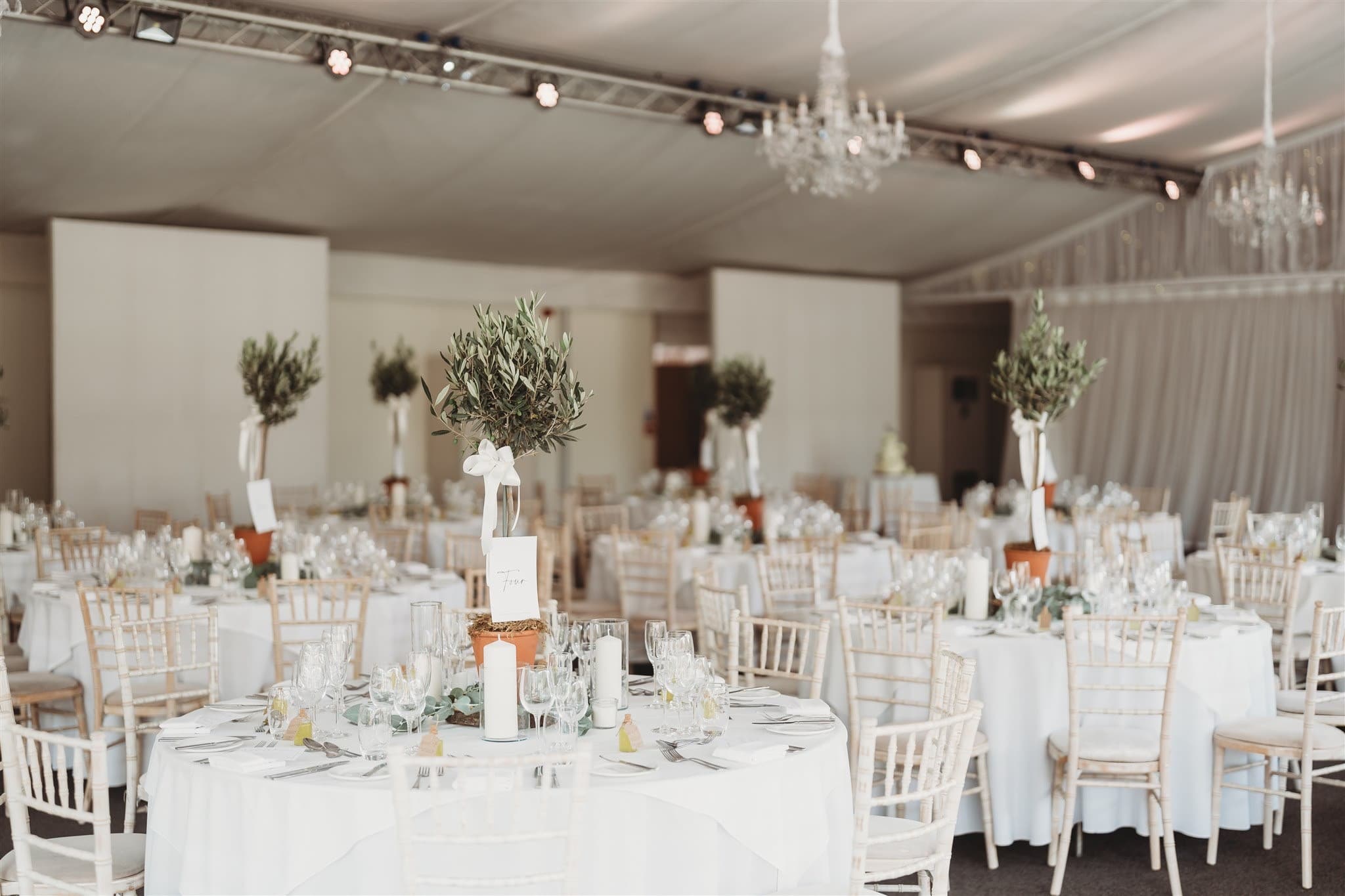 Marquee reception room at Braxted Park Estate laid for a wedding breakfast with olive tree centrepieces