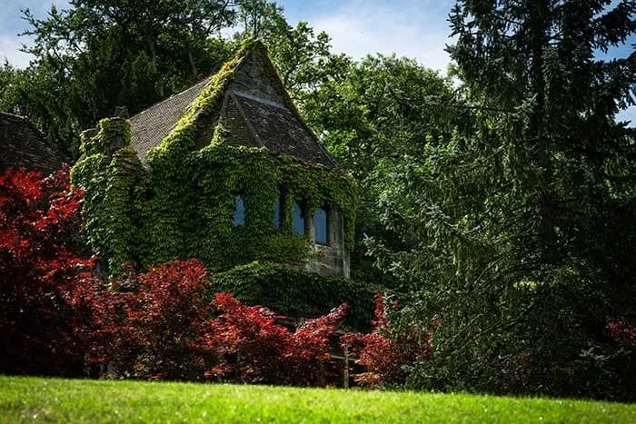 Ivy-covered stone building with pointed gable roof surrounded by red and green foliage