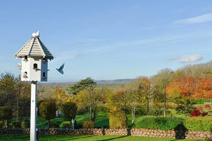 White dovecote on a post in landscaped gardens with autumn trees and rolling countryside beyond.