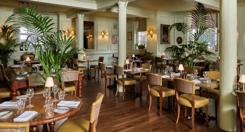 Elegant restaurant interior with wooden tables, olive green chairs and large potted palms.