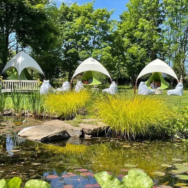 Stirrups Hotel - Gardens